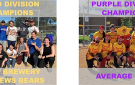 Gold and Purple Division Softball Champions Photo